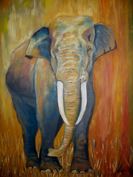 Slon (nije dostupno)